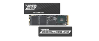 Memory VP4300 M.2 2000 GB PCI Express 4.0 (VP4300-2TBM28H)